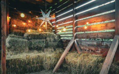 Pe 6 decembrie, între orele 11:00 și 15:00, echipa urme de bucurie a organizat o zi specială pentru tine!