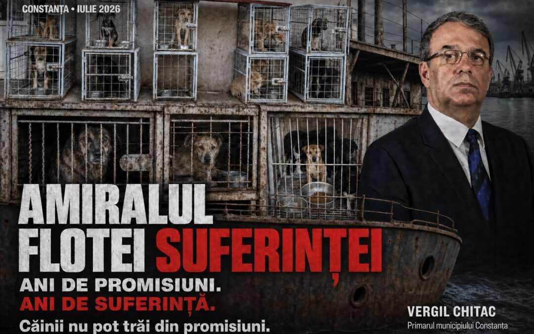 Semnează petiția pentru a pune capăt suferinței câinilor din adăpostul public din Constanța!