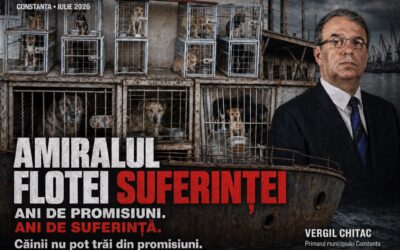 Semnează petiția pentru a pune capăt suferinței câinilor din adăpostul public din Constanța!
